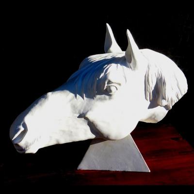 Tête de cheval