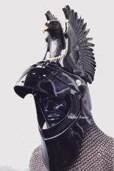 chevalier-noir.jpg